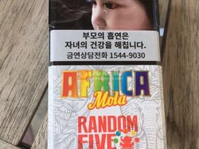 铁塔猫(象之谜韩免版)