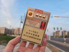 黄金叶(乐途中支)