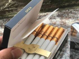 黄金叶(茗仕之风)