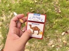 骆驼(硬黄宽版美税)