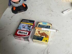 骆驼(软黄南非含税版)