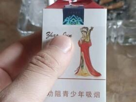 大青山(昭君和亲中支)