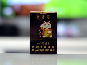 好猫(招财进宝1600)