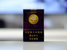 好猫(招财进宝1600)