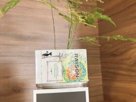 Raison(French Juicy)