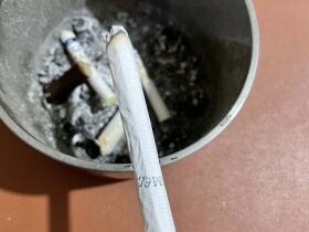 骆驼(无嘴欧盟版)