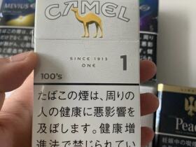 骆驼(1mg 100S日版)