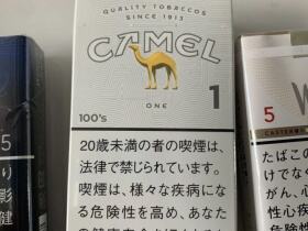 骆驼(1mg 100S日版)