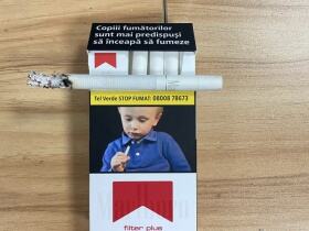 万宝路(硬红荷兰免税版)