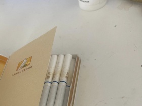 黄山(天都中支)