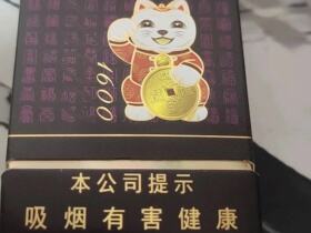 好猫(招财进宝1600)