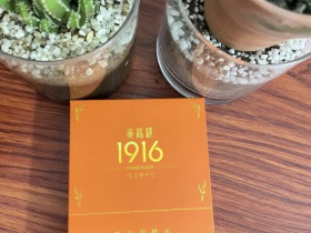 黄鹤楼(雪之梦9号5支装)