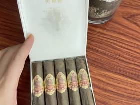 黄鹤楼(雪之梦9号5支装)