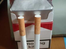 万宝路(硬红土耳其免税版)