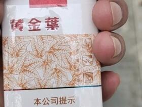 黄金叶(软黄金)