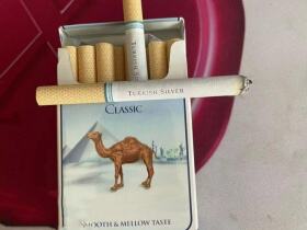 骆驼(硬银土耳其产美税版)