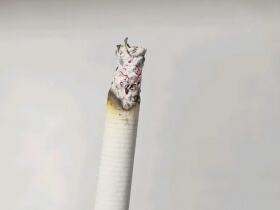 利群(软阳光出口)