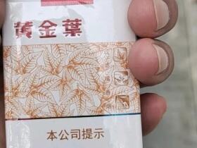 黄金叶(软黄金)