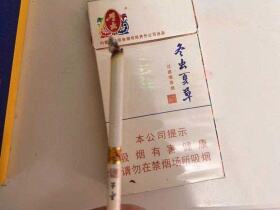 冬虫夏草(和润)