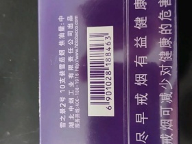 黄鹤楼(雪之景2号)