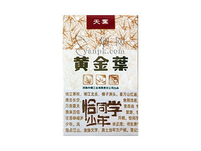 黄金叶(天叶恰同学少年)