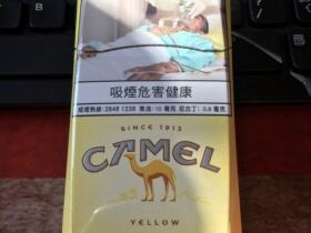 骆驼(硬黄澳门加税版)