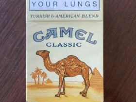 骆驼(硬黄南非含税版)