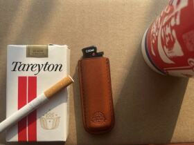 泰瑞登(焦油减量美版)