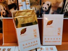 黄金叶(天香小天叶)