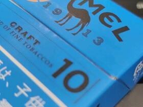 骆驼(CRAFT10mg日版)