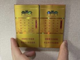 南京(金陵十二钗烤烟)