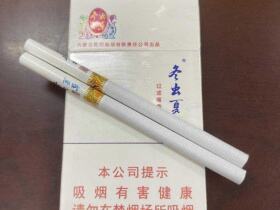 冬虫夏草(和润)