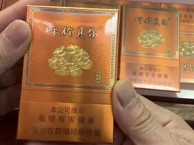 呼伦贝尔(天之韵)