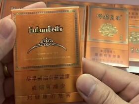 呼伦贝尔(天之韵)