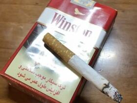 云斯顿(软红迪拜加税版)