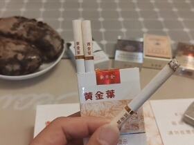 黄金叶(软黄金)