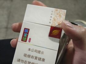 黄金叶(小黄金)