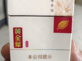 黄金叶(小黄金)