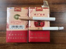 娇子(软禧缘龙凤)