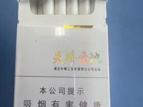 黄鹤楼(硬天骄圣地)