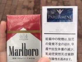 百乐门(硬日版)