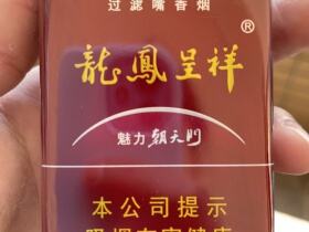 龙凤呈祥(魅力朝)