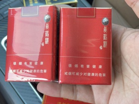 黄鹤楼(软论道短)