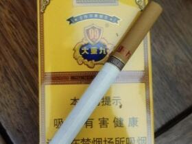 云烟(软大重九)