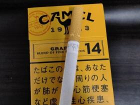 骆驼(CRAFT14mg日版)