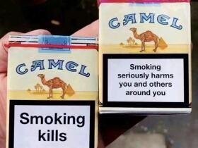 骆驼(无嘴中南半岛免税)