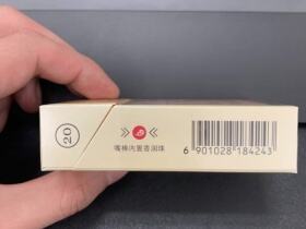 黄鹤楼(1916我的梦)