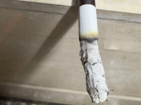 利群(硬阳光出口版)