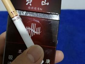 黄山(国宾迎客松)