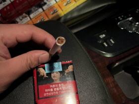 中华(软出口韩国版)